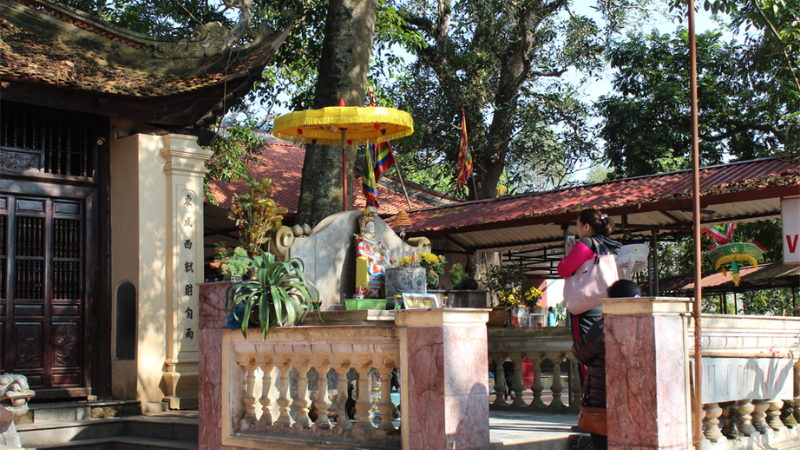 den tho mau thuong ngan 7