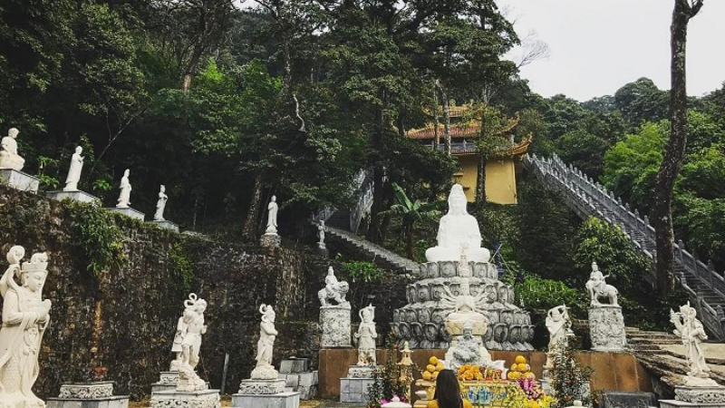 den tho mau thuong ngan 5