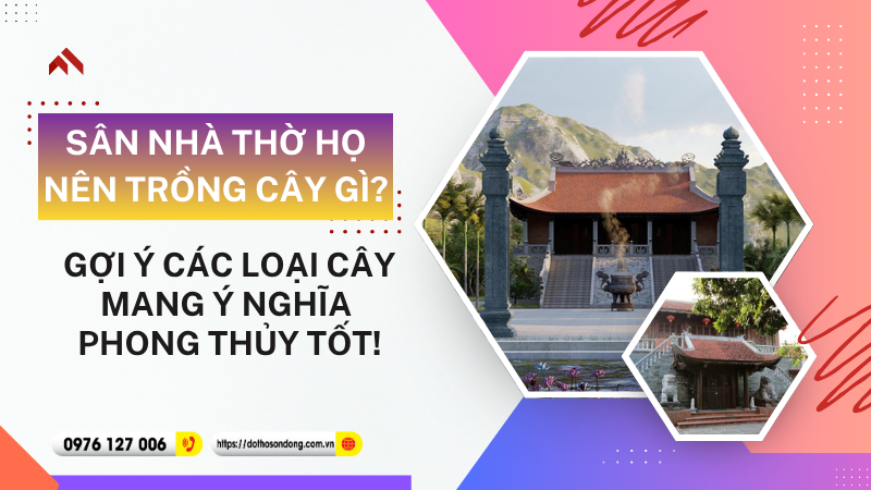 Sân nhà thờ họ nên trồng cây gì Gợi ý các loại cây mang ý nghĩa phong thủy tốt