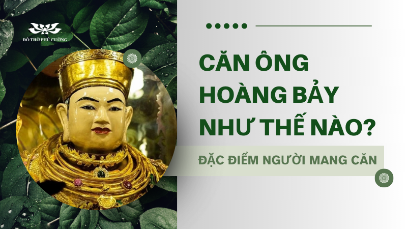 Căn ông Hoàng Bảy như thế nào Đặc điểm của người mang căn Hoàng Bảy