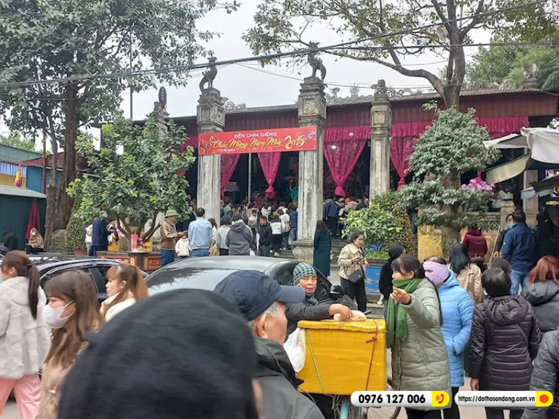 den co chin 3