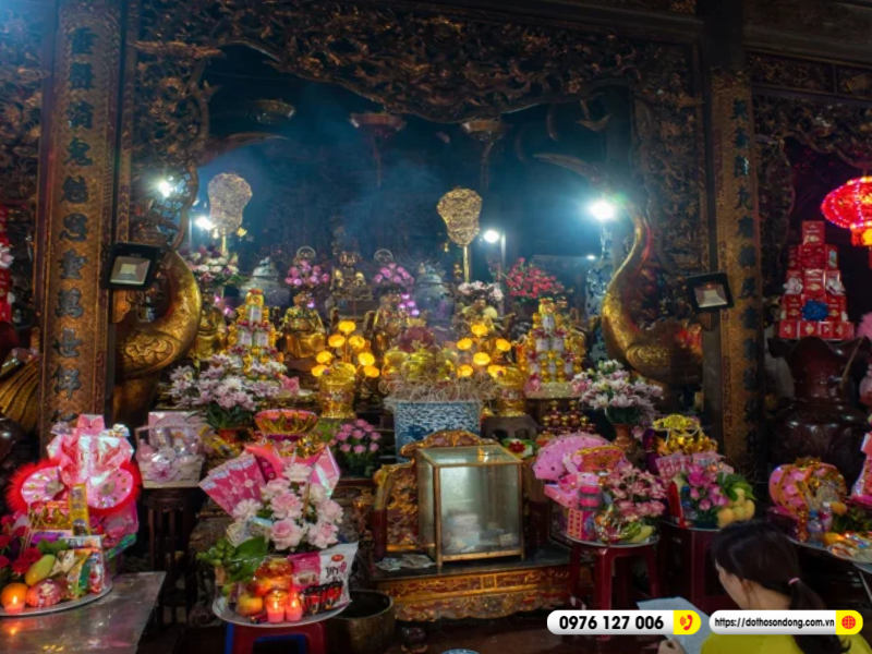 co chin suoi rong 8