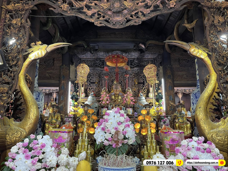 co chin suoi rong 3