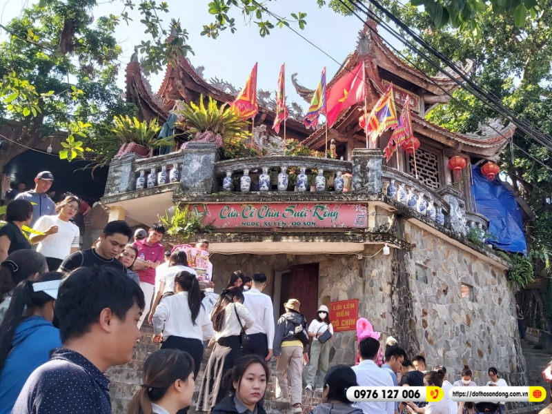co chin suoi rong 1