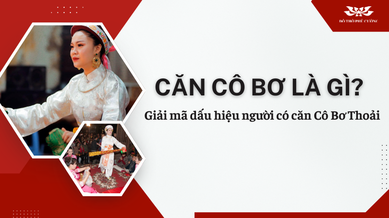 Căn Cô Bơ là gì Giải mã dấu hiệu người có căn Cô Bơ Thoải Căn Cô Bơ là gì Giải mã dấu hiệu người có căn Cô Bơ Thoải