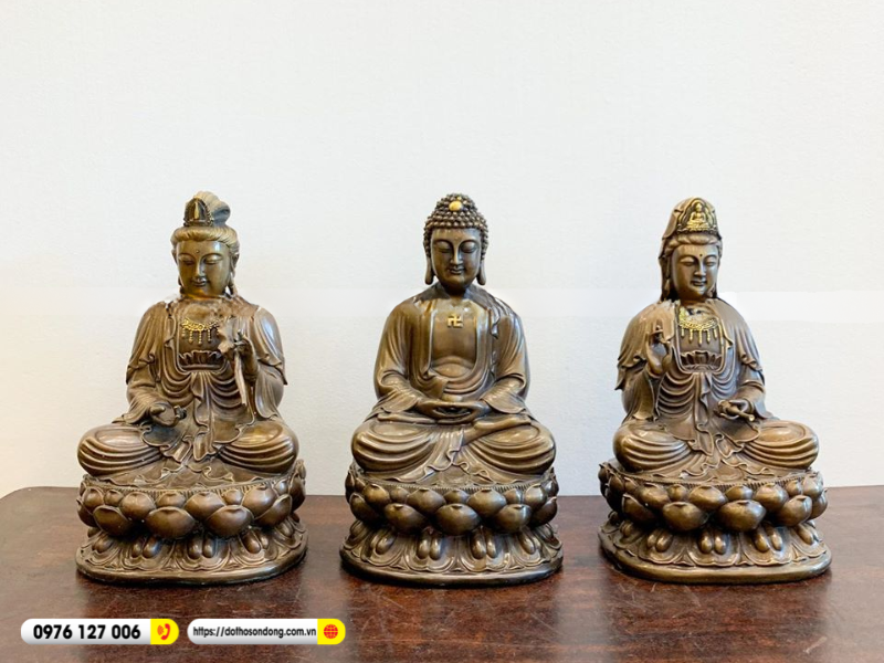 dai the chi bo tat 6