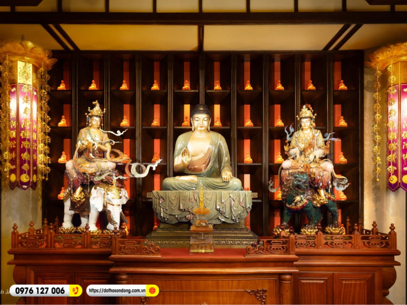 dai the chi bo tat 9