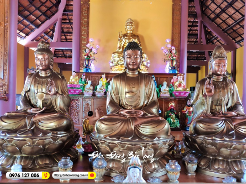 dai the chi bo tat 8