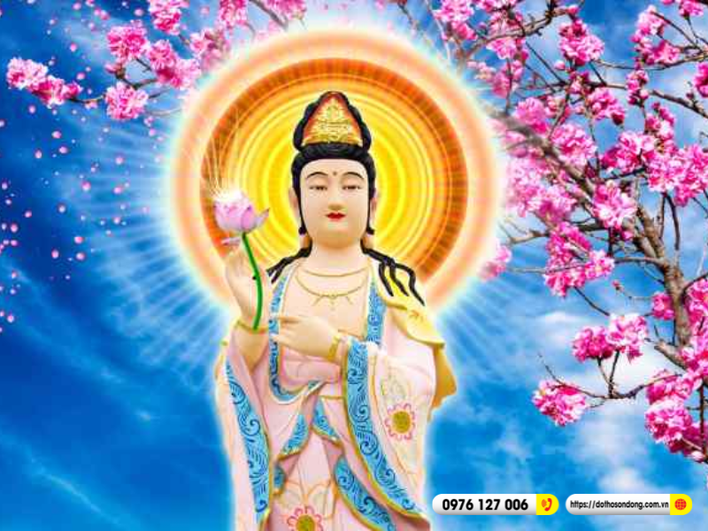 dai the chi bo tat 1