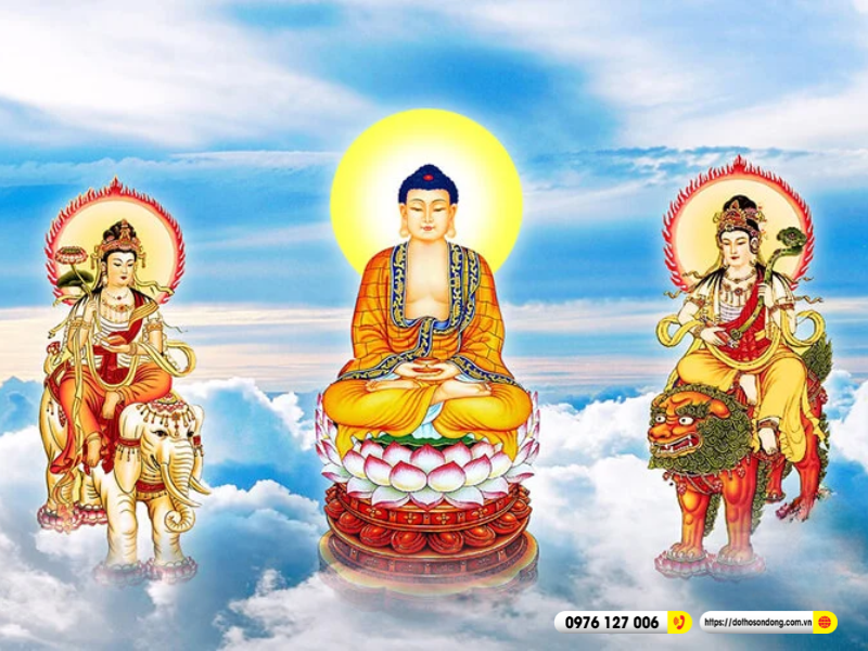 hoa nghiem tam thanh la ai 3