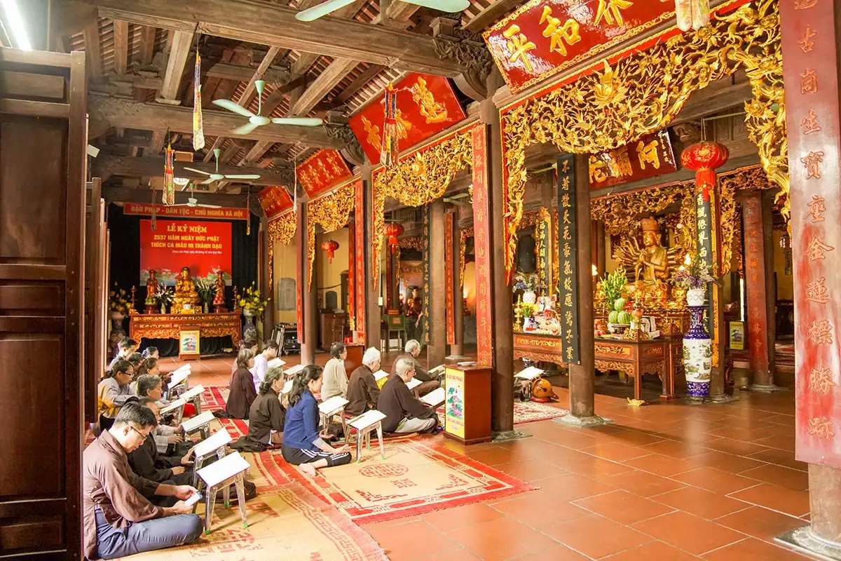 hoanh phi cau doi chua 03